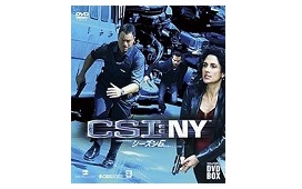 CSI:NY シーズン6