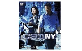 CSI:NY シーズン7