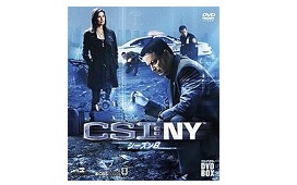 CSI:NY シーズン8